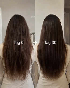 30-Tage-Bildbeispiel 4 des Referenzanbieters